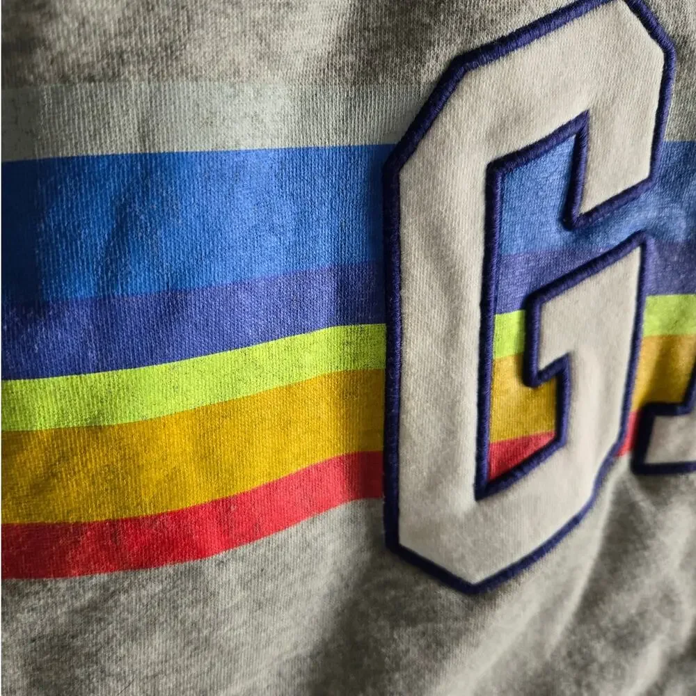Gap Kids Rainbow Stripe Gray Hoodie sz XXL